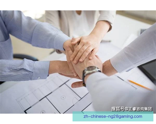塔雷米团队凝聚作用，锋线核心带动整体协作
